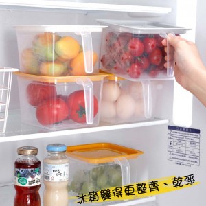 透明手柄保鮮盒 冰箱收納儲物盒 蔬菜水果保鮮盒 收納盒