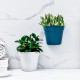壁掛式塑膠花盆 創意半圓形塑膠盆栽 塑膠牆面裝飾花盆 美化小清新花盆