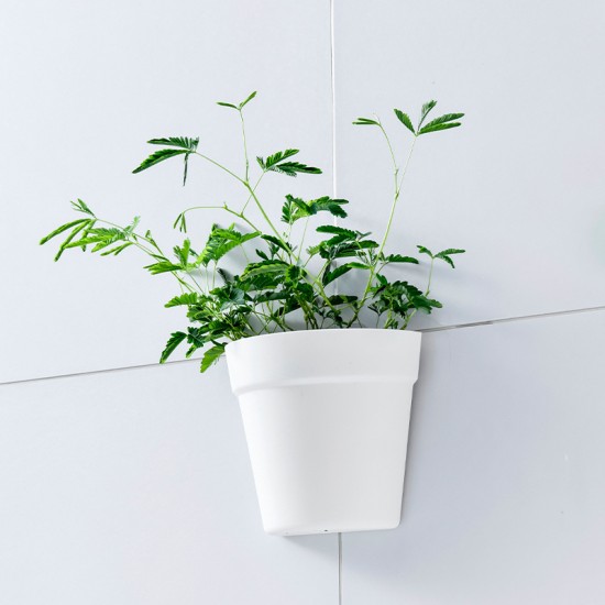 壁掛式塑膠花盆 創意半圓形塑膠盆栽 塑膠牆面裝飾花盆 美化小清新花盆
