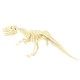 恐龍化石考古玩具 手工DIY益智考古恐龍化石拼裝玩具 考古學家