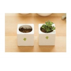 創意植物迷你陶瓷花盆 陶瓷盆栽 不附植物