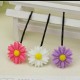 (10入)甜美小雛菊造型一字夾 髮夾