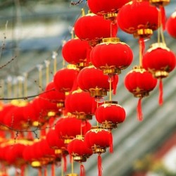 (2包入)植絨小燈籠 喜慶小紅燈籠 春節新年用品節日裝飾品 布置品