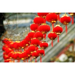 (2包入)植絨小燈籠 喜慶小紅燈籠 春節新年用品節日裝飾品 布置品