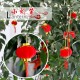 (2包入)植絨小燈籠 喜慶小紅燈籠 春節新年用品節日裝飾品 布置品