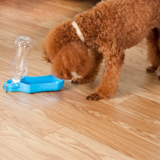 寵物戶外水壺 外出旅行必備狗狗小貓飲水器 寵物水壺