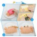 海底世界飯糰模5件組 貝殼螃蟹海豹造型飯糰模