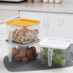 透明手柄保鮮盒 冰箱收納儲物盒 蔬菜水果保鮮盒 收納盒