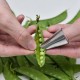 剝毛豆神器 創意不鏽鋼指甲套 剝殼工具 堅果剝殼神器