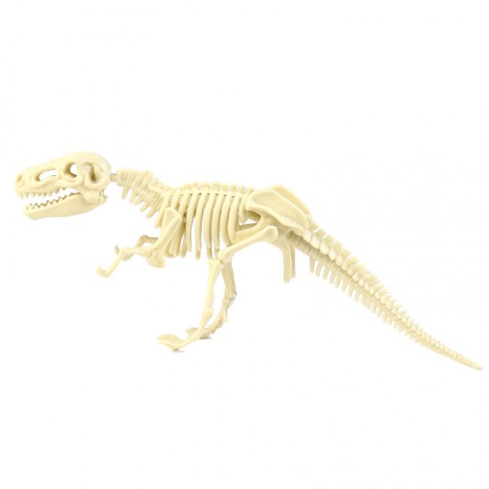 恐龍化石考古玩具 手工DIY益智考古恐龍化石拼裝玩具 考古學家