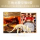 恐龍化石考古玩具 手工DIY益智考古恐龍化石拼裝玩具 考古學家