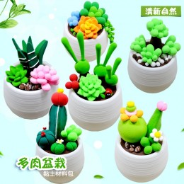 多肉植物盆栽黏土材料包 創意DIY彩色黏土盆栽玩具 學生DIY勞作