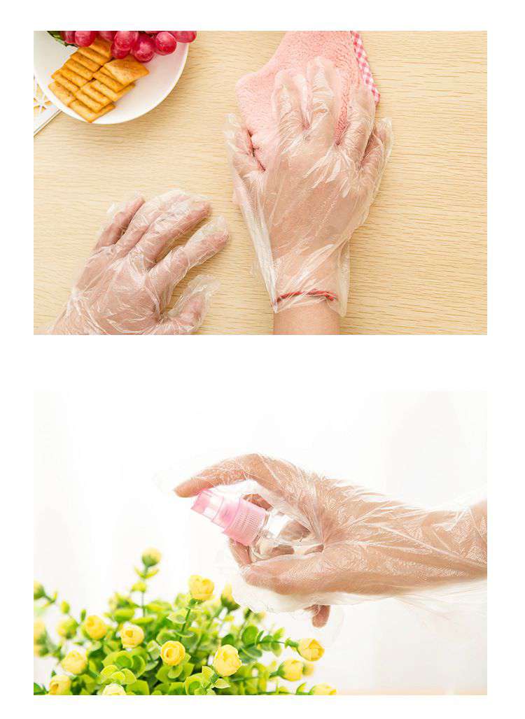 一次性PE透明塑膠手套 廚房 打掃用透明塑膠手套批發 48入裝4
