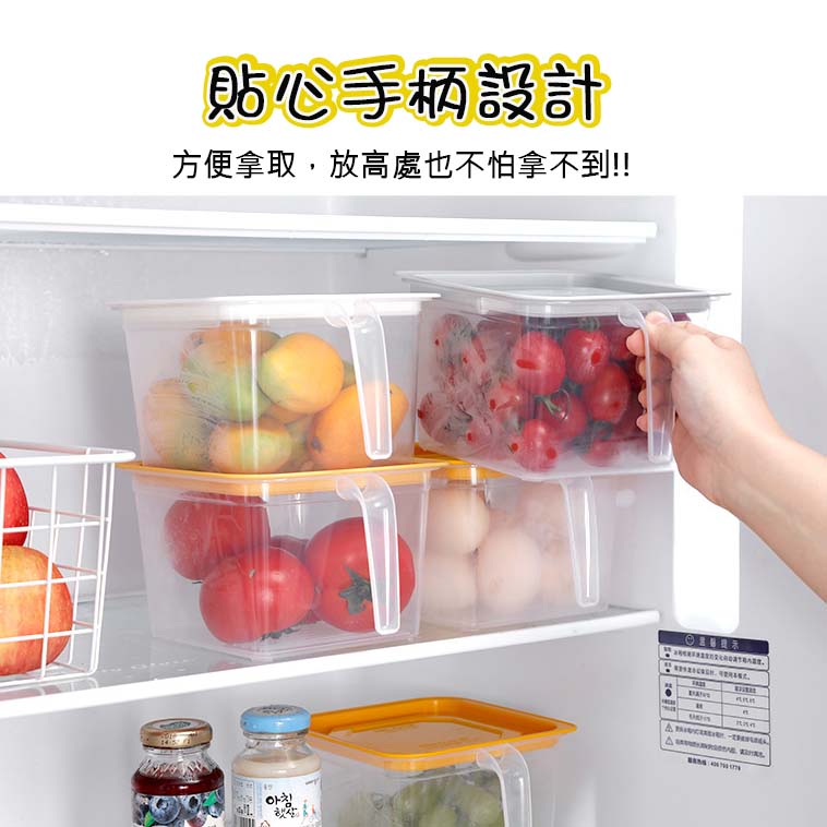 透明手柄保鮮盒 冰箱收納儲物盒 蔬菜水果保鮮盒 收納盒7