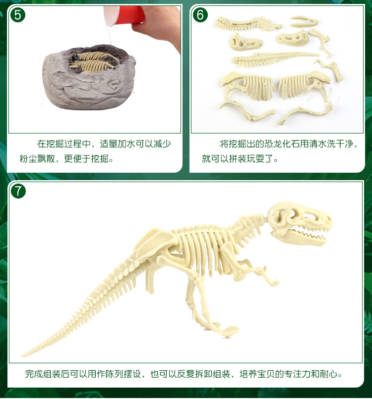 恐龍化石考古玩具 手工DIY益智考古恐龍化石拼裝玩具 考古學家7