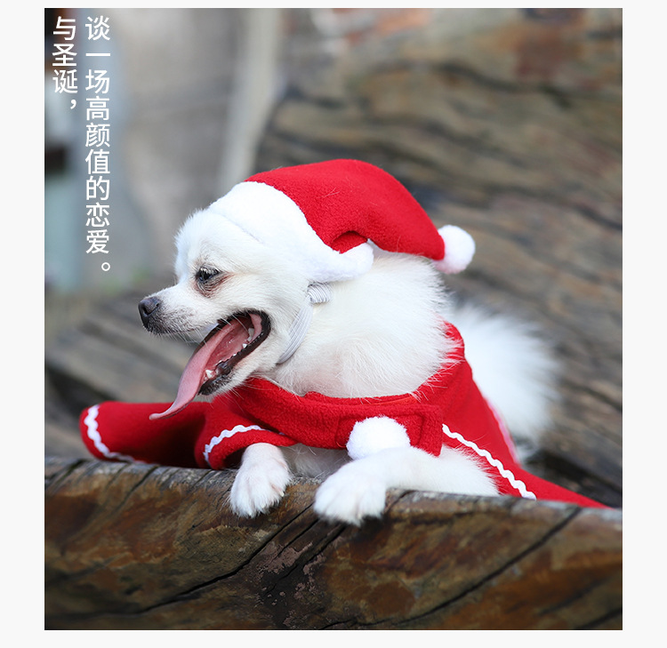 寵物聖誕老人斗篷 聖誕節必備寵物衣服 可愛狗狗斗篷聖誕帽禮服3