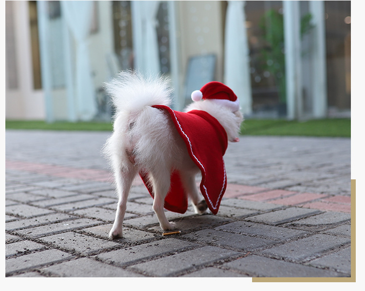 寵物聖誕老人斗篷 聖誕節必備寵物衣服 可愛狗狗斗篷聖誕帽禮服7