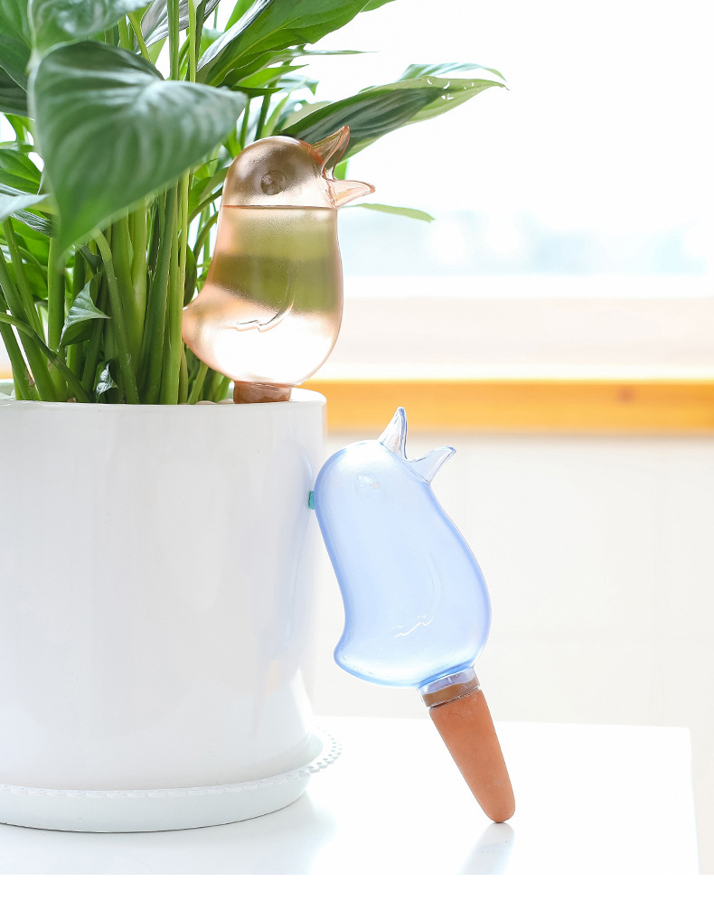 創意小鳥造型自動澆水器 可愛透明懶人澆花器 創意自動滴水器0