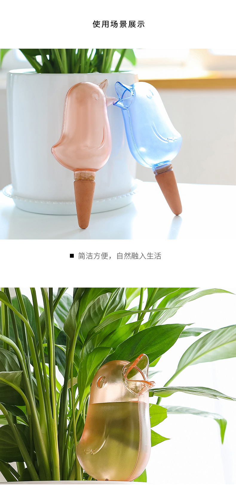 創意小鳥造型自動澆水器 可愛透明懶人澆花器 創意自動滴水器3
