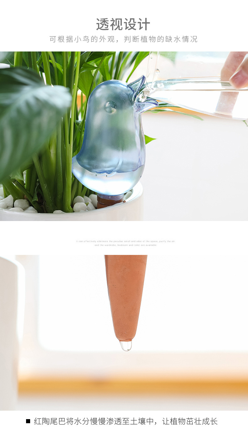 創意小鳥造型自動澆水器 可愛透明懶人澆花器 創意自動滴水器4